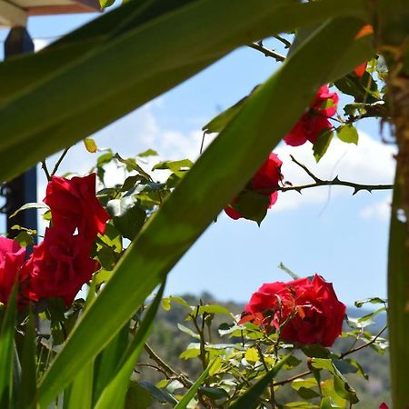 Garden View Apartments Anaxos Zewnętrze zdjęcie
